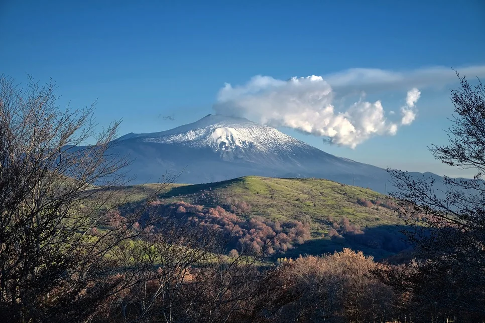 Bosco e montagne dei Nebrodi, fotografia di repertorio